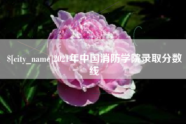 漯河2021年中国消防学院录取分数线