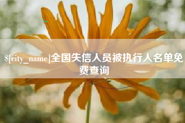 漯河全国失信人员被执行人名单免费查询