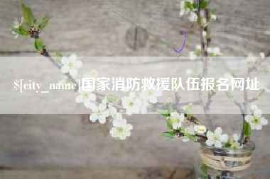 漯河国家消防救援队伍报名网址