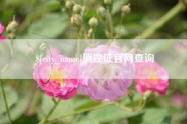 漯河消控证官网查询
