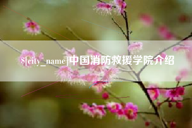 漯河中国消防救援学院介绍
