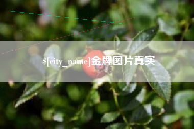 漯河金牌图片真实