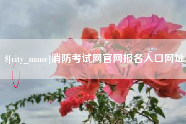漯河消防考试网官网报名入口网址