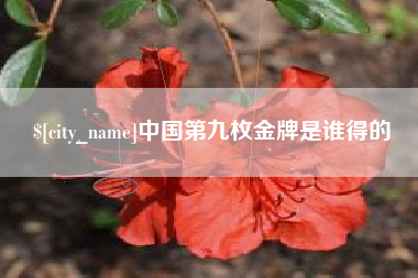 漯河中国第九枚金牌是谁得的