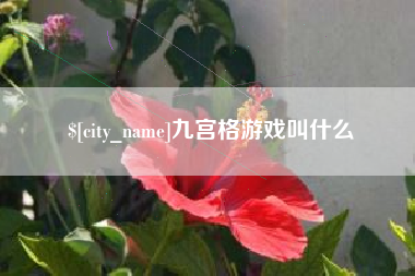 漯河九宫格游戏叫什么