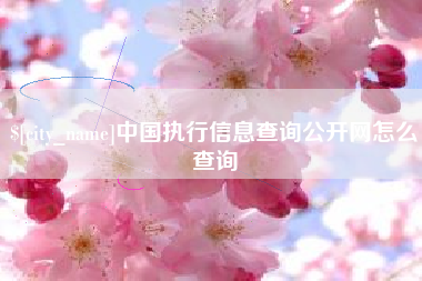 漯河中国执行信息查询公开网怎么查询