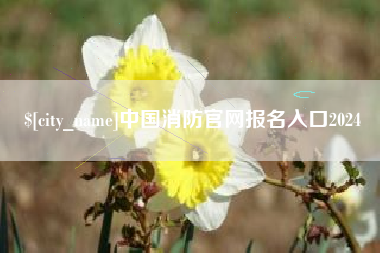 漯河中国消防官网报名入口2024