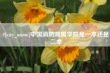 漯河中国消防救援学院是一本还是二本