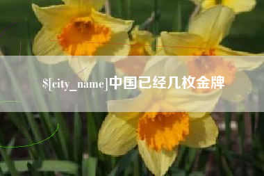 漯河中国已经几枚金牌