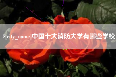 漯河中国十大消防大学有哪些学校