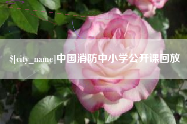 漯河中国消防中小学公开课回放