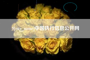 漯河中国执行信息公开网