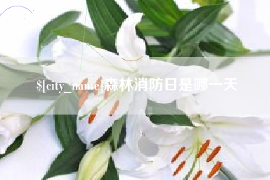 漯河森林消防日是哪一天