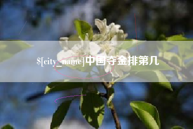 漯河中国夺金排第几