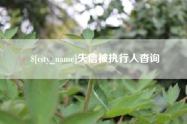 漯河失信被执行人杳询