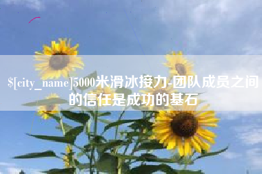 漯河5000米滑冰接力-团队成员之间的信任是成功的基石