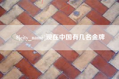漯河现在中国有几名金牌