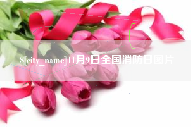 漯河11月9日全国消防日图片