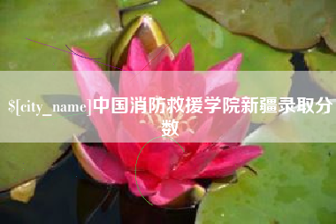 漯河中国消防救援学院新疆录取分数