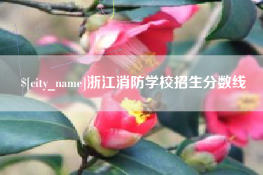 漯河浙江消防学校招生分数线