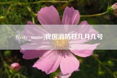 漯河我国消防日几月几号