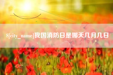 漯河我国消防日是哪天几月几日