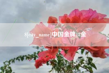 漯河中国金牌18金