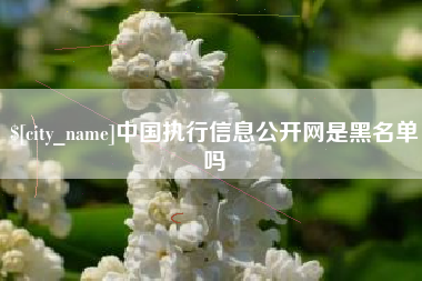 漯河中国执行信息公开网是黑名单吗
