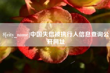 漯河中国失信被执行人信息查询公开网址
