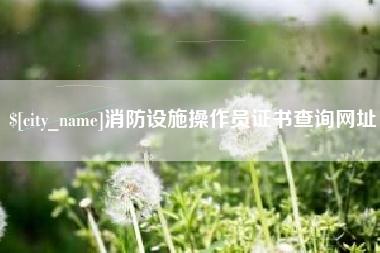漯河消防设施操作员证书查询网址
