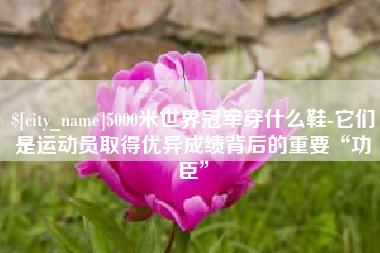 漯河5000米世界冠军穿什么鞋-它们是运动员取得优异成绩背后的重要“功臣”