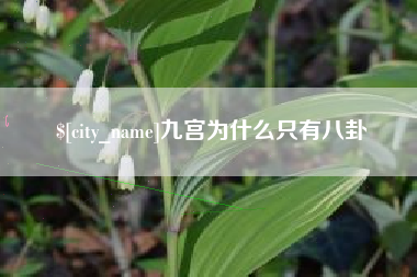 漯河九宫为什么只有八卦