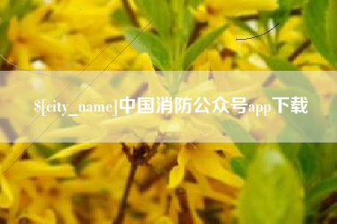 漯河中国消防公众号app下载