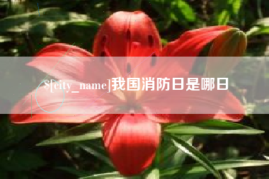 漯河我国消防日是哪日