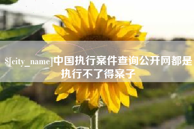 漯河中国执行案件查询公开网都是执行不了得案子