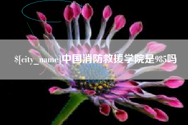 漯河中国消防救援学院是985吗