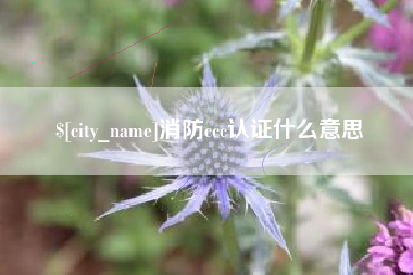 漯河消防ccc认证什么意思