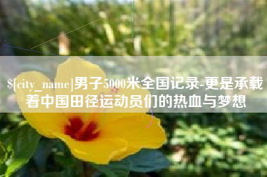 漯河男子5000米全国记录-更是承载着中国田径运动员们的热血与梦想