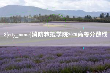 漯河消防救援学院2020高考分数线