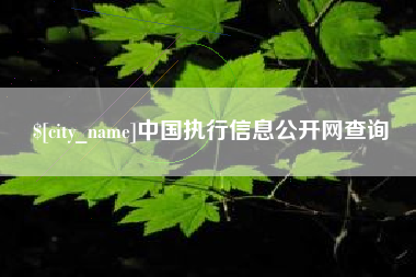漯河中国执行信息公开网查询
