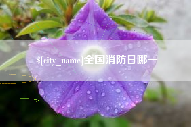 漯河全国消防日哪一