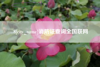 漯河消防证查询全国联网