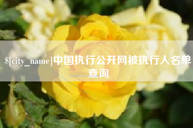 漯河中国执行公开网被执行人名单查询