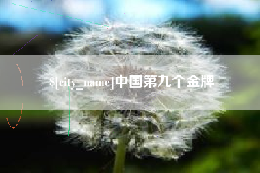 漯河中国第九个金牌