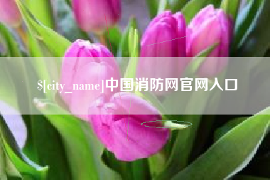 漯河中国消防网官网入口