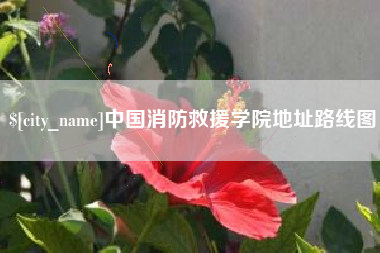 漯河中国消防救援学院地址路线图