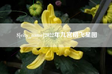 漯河2022年九宫格飞星图