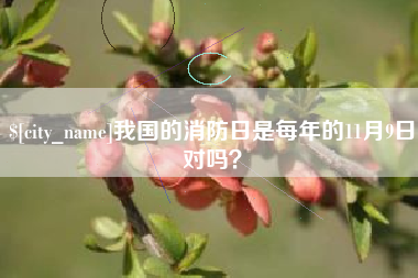漯河我国的消防日是每年的11月9日对吗？