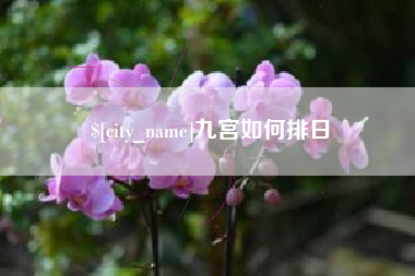 漯河九宫如何排日