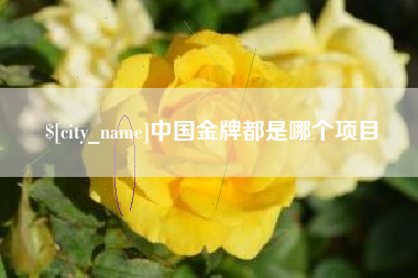 漯河中国金牌都是哪个项目
